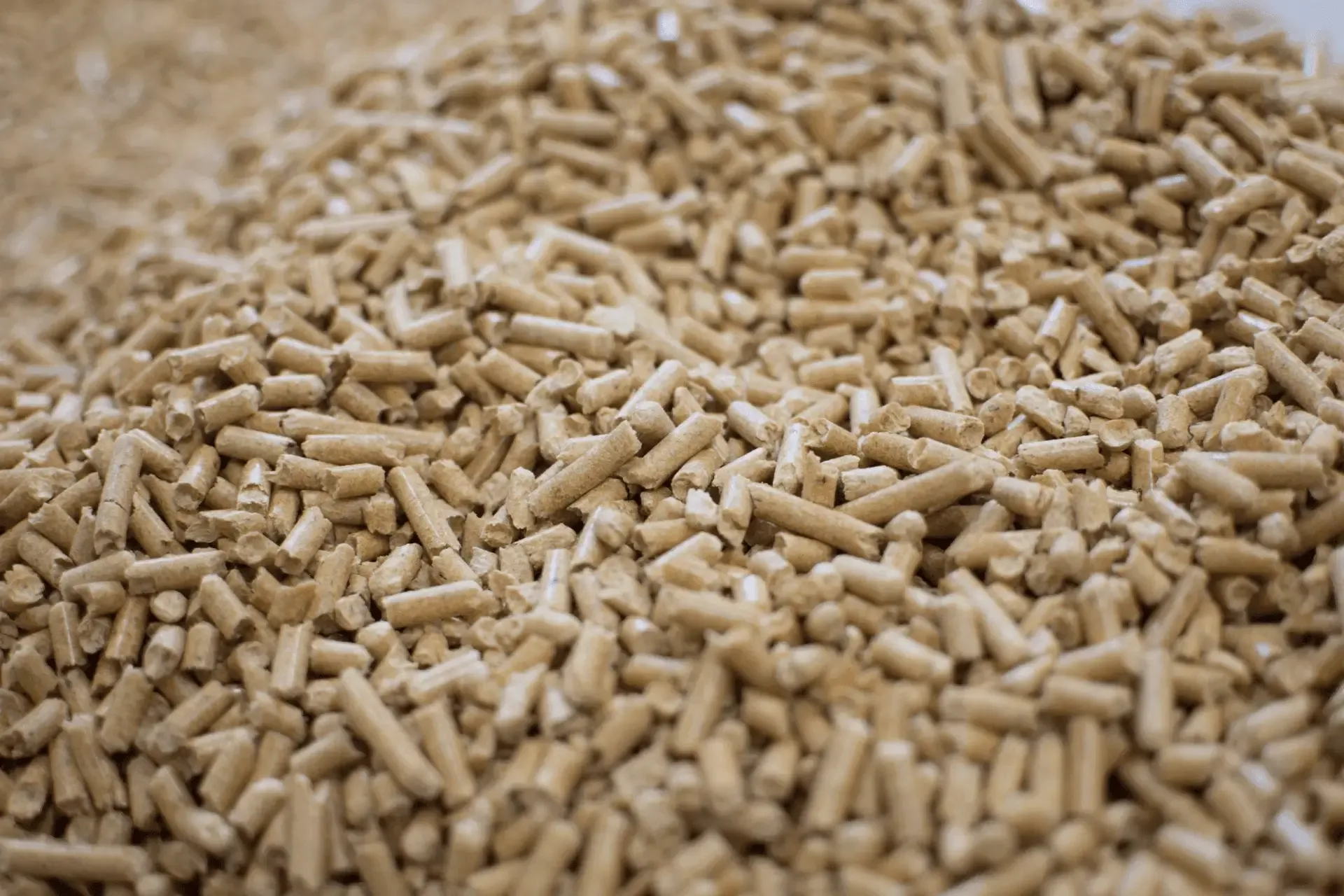 Coniferous vs. Deciduous Pellets – Which to Choose?
